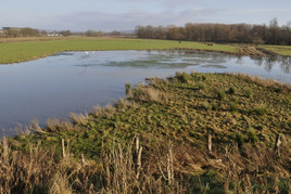 An der Kiebitzwiese (Fröndenberg)