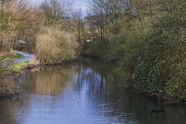 Weg zu den Ölbachteichen