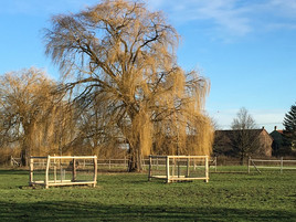 Pröbe Hof Jungbäume Pröbe Hof Jungbäume